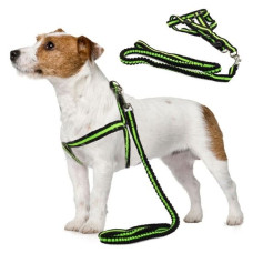 Поводок с ремнями шлейки для собак и кошек зеленый